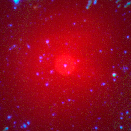 Ingrandimento Stella